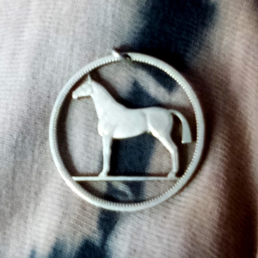 Irish Coin Horse Medallion